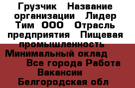 Грузчик › Название организации ­ Лидер Тим, ООО › Отрасль предприятия ­ Пищевая промышленность › Минимальный оклад ­ 20 000 - Все города Работа » Вакансии   . Белгородская обл.